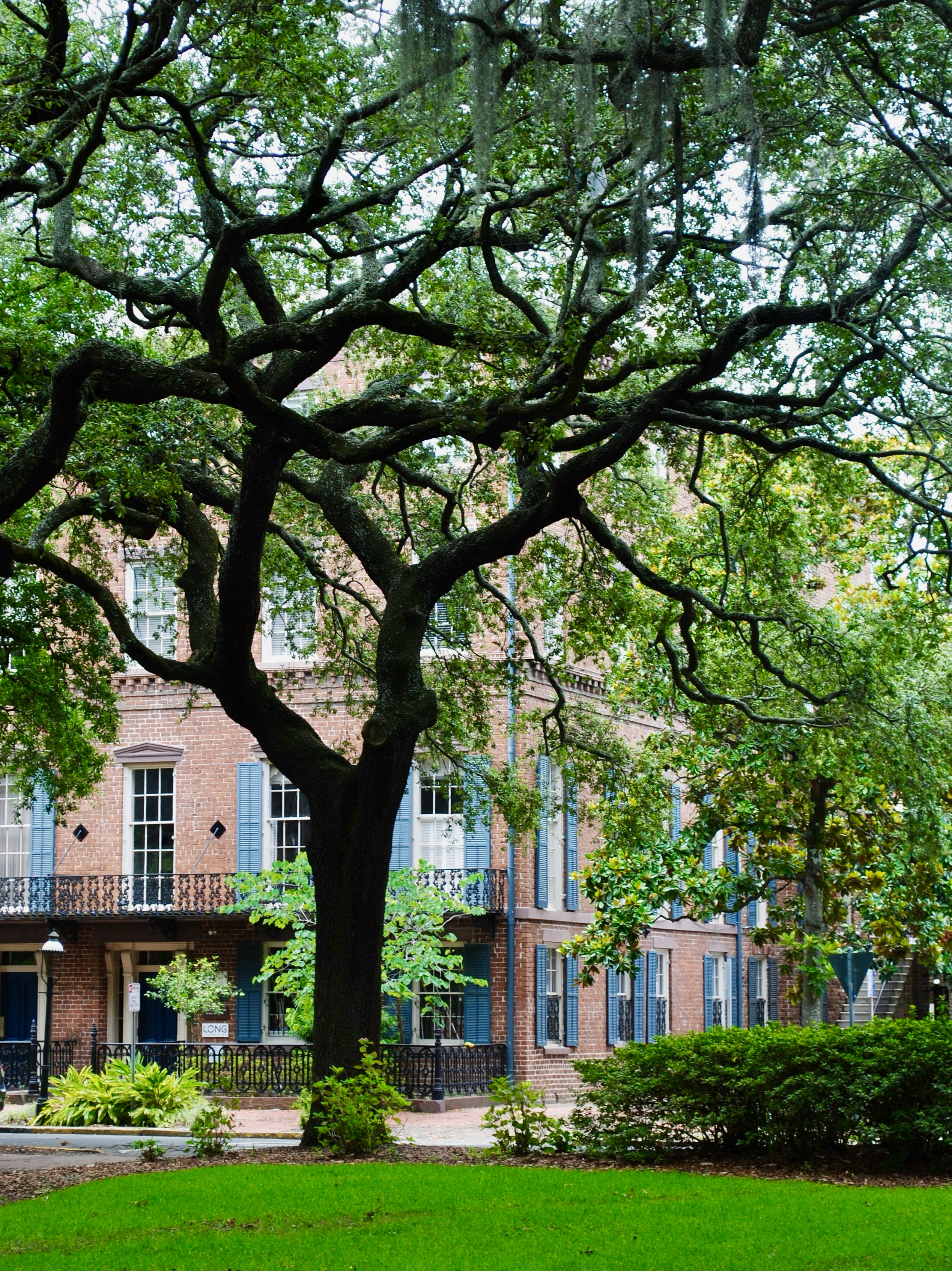 Savannah Georgia historic square